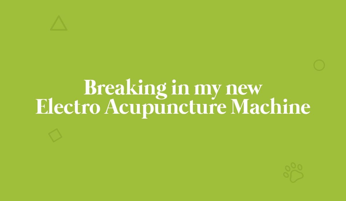 breaking-in-my-new-electro-acupuncture-machine