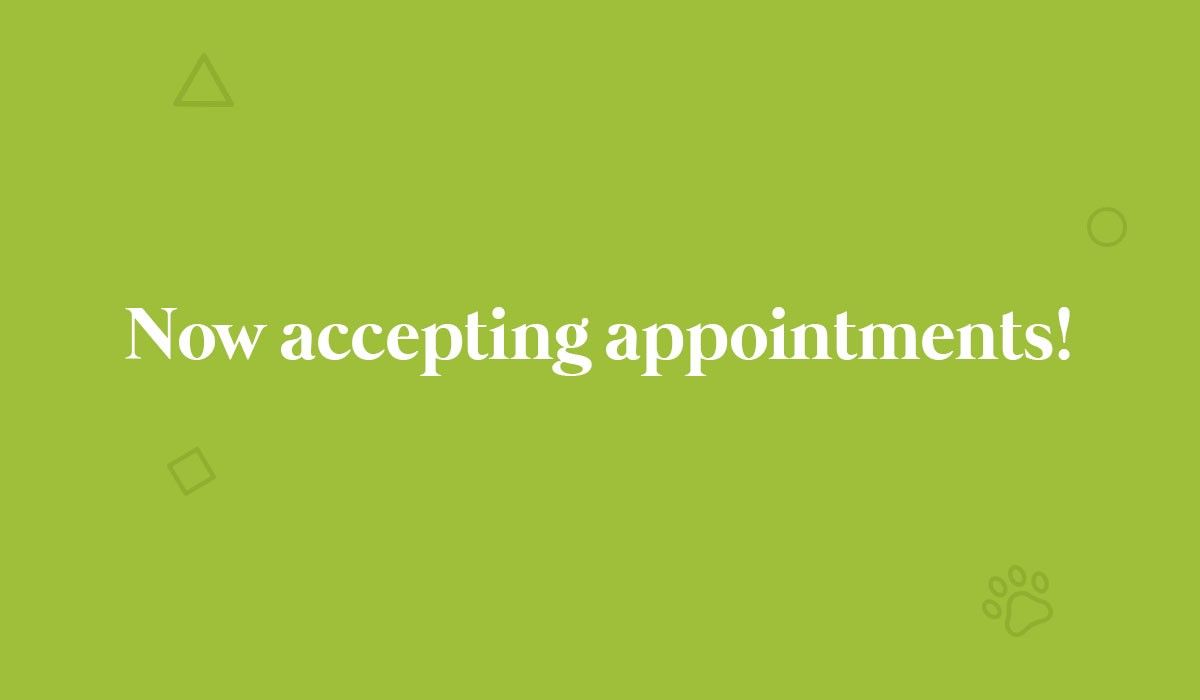 Now Accepting Appointments!