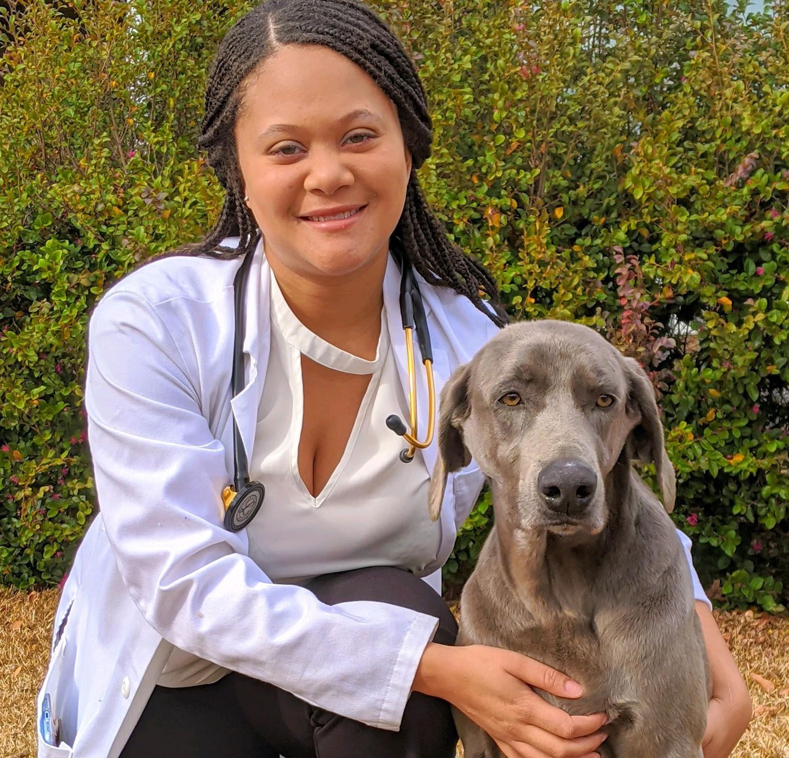 About Total Quality Mobile Veterinary Care | Mobile Vet Raleigh and  Knightdale NC