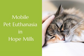 Mobile-Pet-Euthanasia-in-Hope-Mills