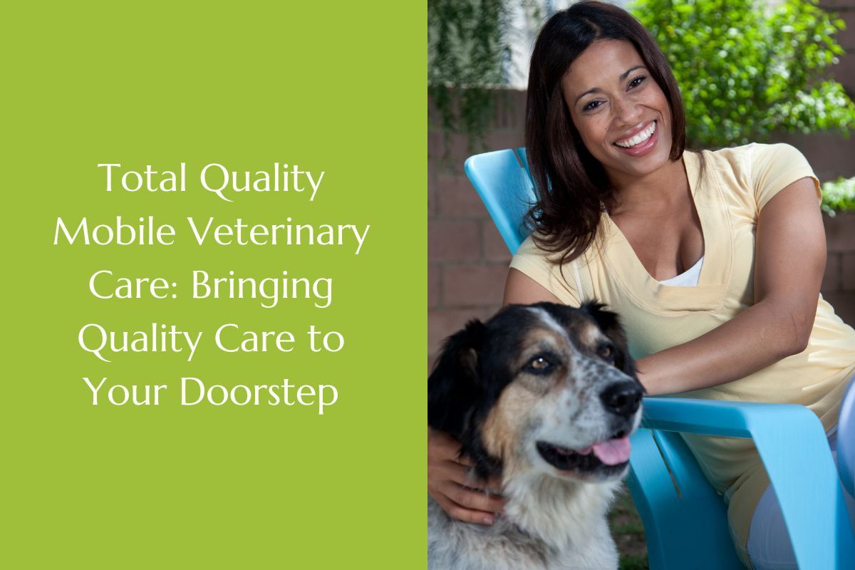 Quality Veterinary Services
